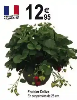 TridĂŽme Fraisier Delizz offre