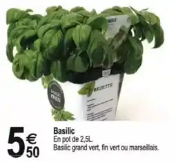 Tridôme Basilic offre