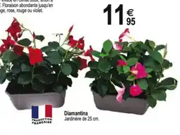 Tridôme Diamantina Jardinière de 25 cm. offre