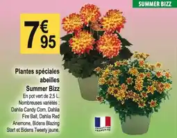 Tridôme Plantes spéciales abeilles Summer Bizz offre