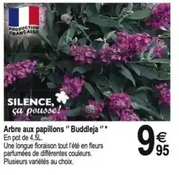 Tridôme Arbre aux papillons "Buddleja " offre