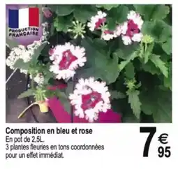 Tridôme Composition en bleu et rose offre