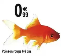 TridĂŽme Poisson rouge 6-9 cm offre