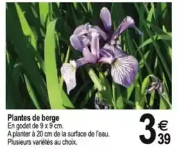Tridôme Plantes de berge offre