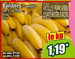 Norma Cavendish Bananes âCavendishâ offre