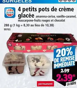 Norma RIVA 4 petits pots de crème glacée offre