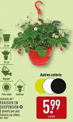 ALDI GARDENLINE Fraisier en suspension offre