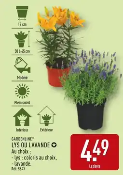 ALDI GARDENLINE Lys ou lavande offre
