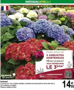 Tridôme Hortensia offre