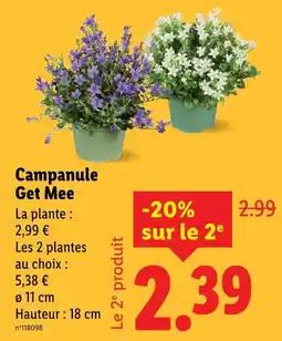 Lidl GET MEE Campanule offre