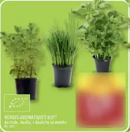 ALDI Herbes aromatiques bio offre