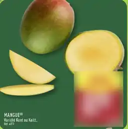 ALDI Mangue offre