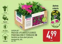 ALDI Pack de 6 plantes fleuries pour balcon et terrasse offre