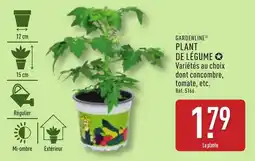 ALDI Plant de légume offre