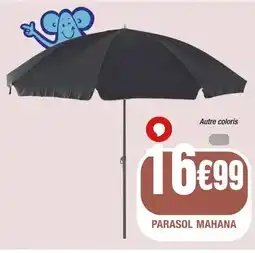 La Foir'Fouille Parasol mahana offre