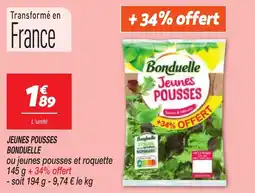 Netto Jeunes pousses bonduelle offre