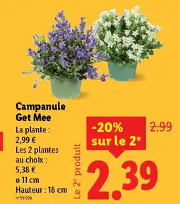 Lidl Campanule Get Mee offre
