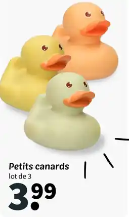 Wibra Petits canards offre