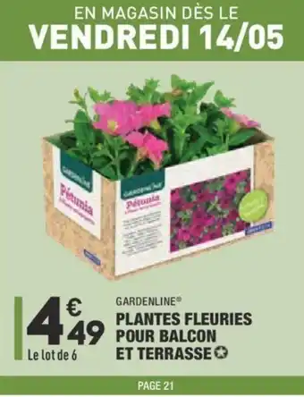 Plantes fleuries pour balcon et terrasse