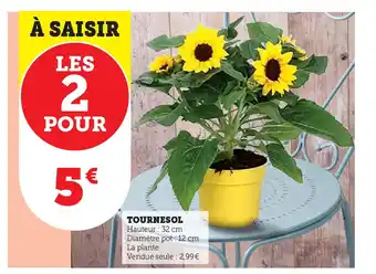 U Express Tournesol offre