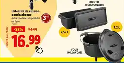 Lidl Ustensile de cuisson pour barbecue offre
