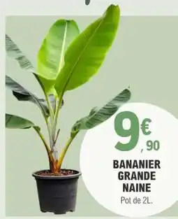 E.Leclerc BANANIER GRANDE NAINE offre