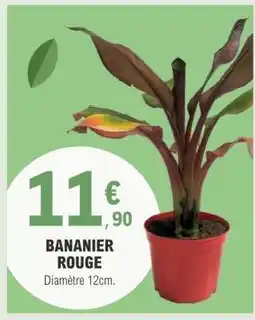 E.Leclerc BANANIER ROUGE offre