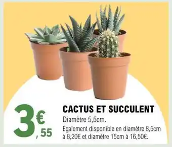E.Leclerc CACTUS ET SUCCULENT offre