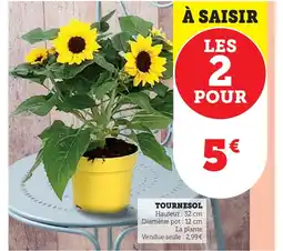 Super U Tournesol offre
