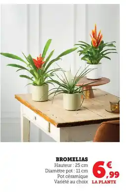 Super U Bromelias offre