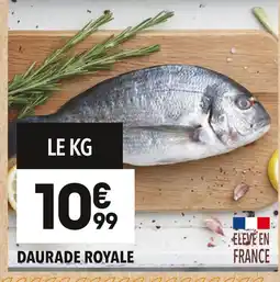 Supeco Daurade royale offre