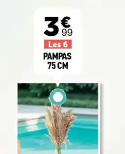 Centrakor Pampas 75 cm offre