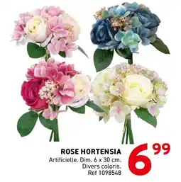 Trafic Rose hortensia offre