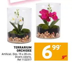 Trafic Terrarium orchidee offre