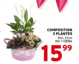 Trafic Composition 3 plantes offre