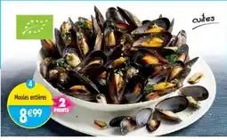 Maximo Moules entières offre
