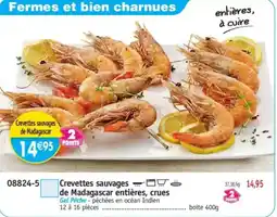 Maximo Crevettes sauvages de Madagascar entières, crues offre