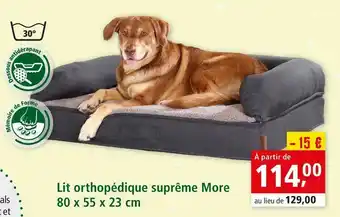 Maxi Zoo More lit orthopédique suprême offre