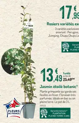 Botanic botanic Jasmin étoilé offre