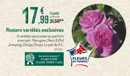 Botanic Rosiers variétés exclusives offre