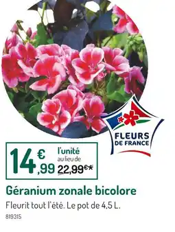 Botanic Géranium zonale bicolore offre