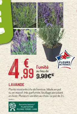 Botanic Lavande offre