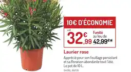 Botanic Laurier rose offre