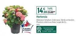 Botanic Hortensia offre