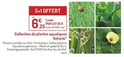 Botanic botanic Collection de plantes aquatiques offre