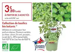 Botanic botanic Collection de basilics bio offre