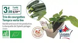 Botanic Trio de courgettes Tempra verte bio offre