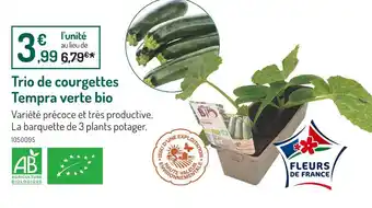 Botanic Trio de courgettes Tempra verte bio offre
