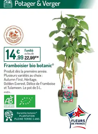 Botanic botanic Framboisier bio offre
