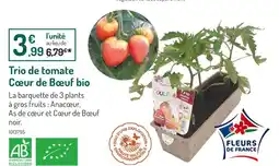 Botanic Trio de tomate cœur de bœuf bio offre